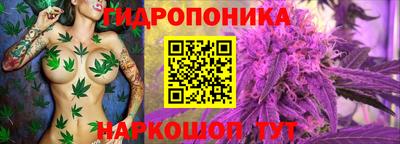 прущие грибы Гусев