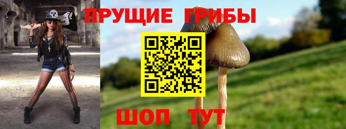 Моздок  Псилоцибиновые грибы мухоморы  Вход с VPN 